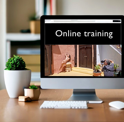 Online training