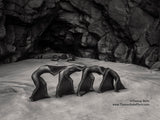 Lanzarote April 26-30 2027 : 5 days Exclusive Art Nude workshop