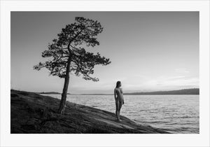 TH2016-1955 - The Lone tree, [product_type) - Thomas Holm Photography - CommandoArt.com